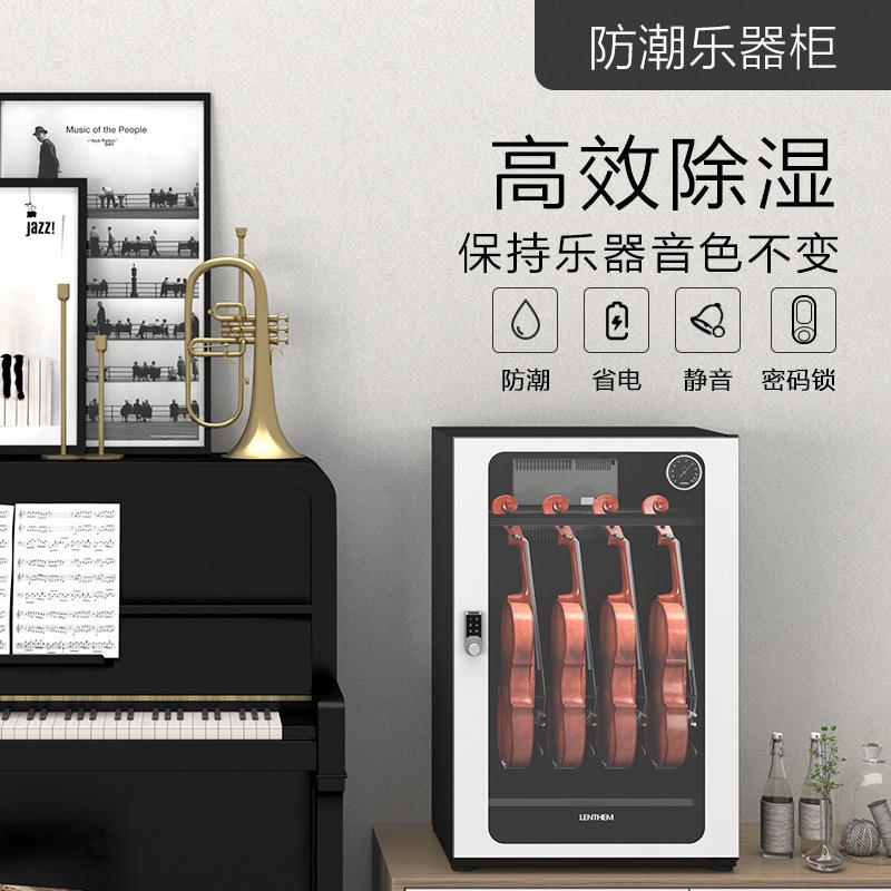 LENTHEM领顿防潮乐器柜229 加厚钢制小提琴除湿柜 带密码锁干燥箱