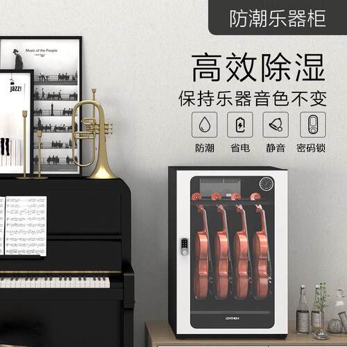 LENTHEM领顿防潮乐器柜229 加厚钢制小提琴除湿柜 带密码锁干燥箱
