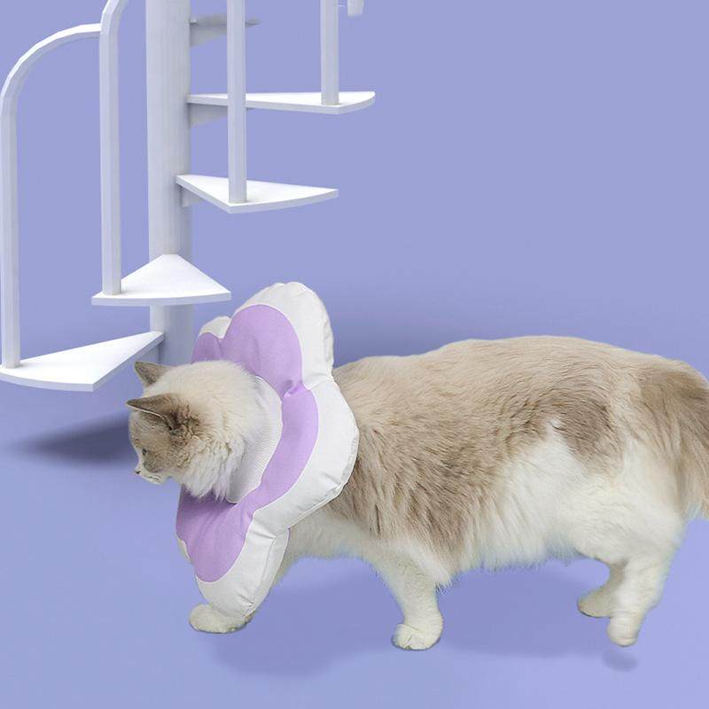 猫咪项圈伊丽莎白圈围脖防水舔软头套伊利沙白脖圈绝育宠物猫脖套,宠物/宠物食品及用品,猫牵引绳,淘宝优惠券,粉丝福利购,淘宝优惠卷