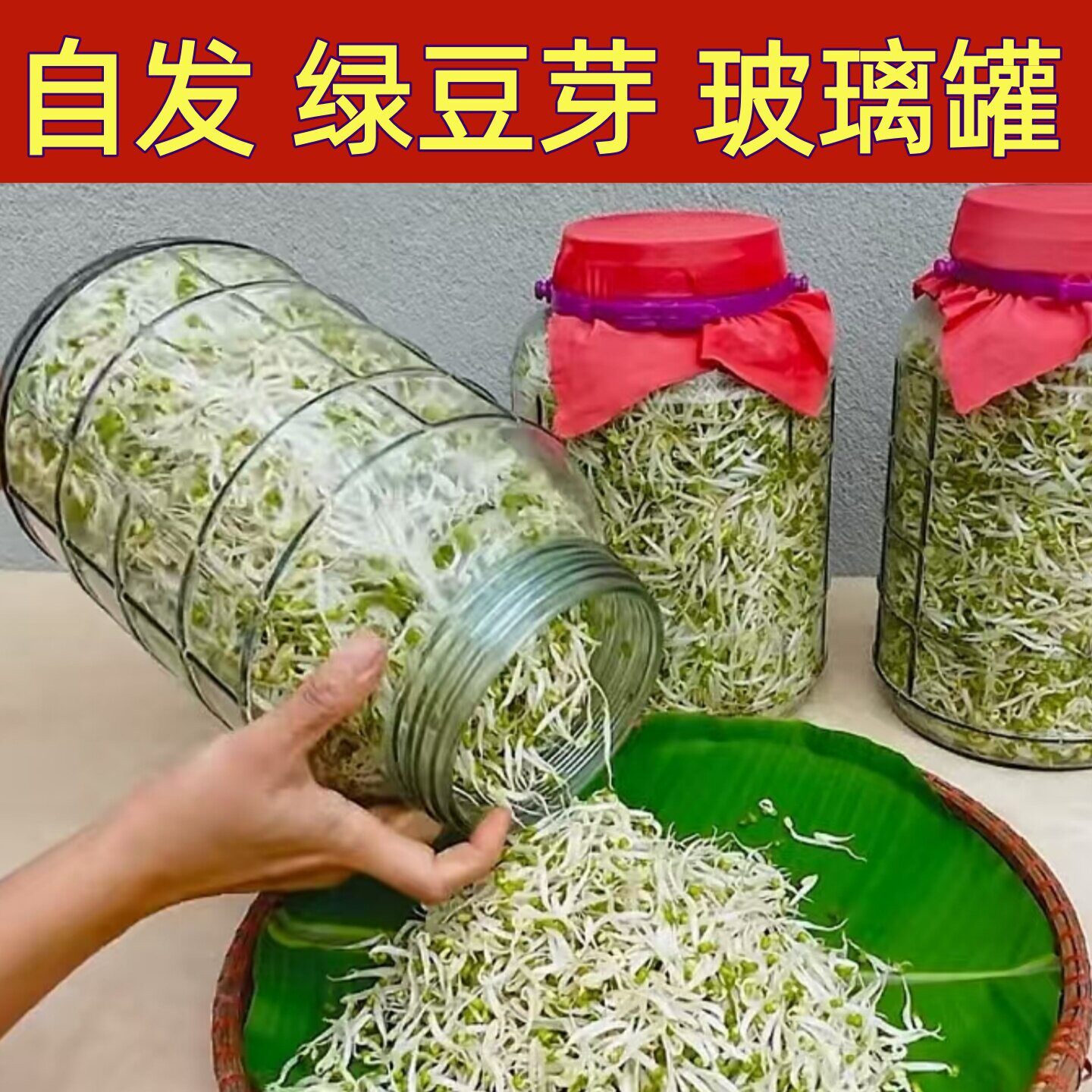 自发绿豆芽玻璃罐雪碧腌糖蒜密封罐加厚腌菜泡菜坛子青梅酒泡酒瓶