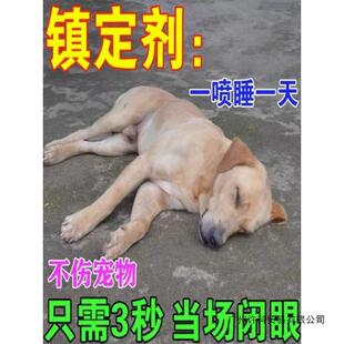 狗狗麻醉镇定剂快速睡觉猫咪安眠情绪安抚狗乱叫咬喷HCDS默认中国