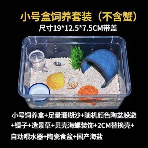 寄居蟹饲养饲养其它水族用具设备