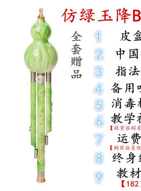 高档童学调生成人入儿门自初学者树脂学抗摔耐用葫芦丝乐器 c降b