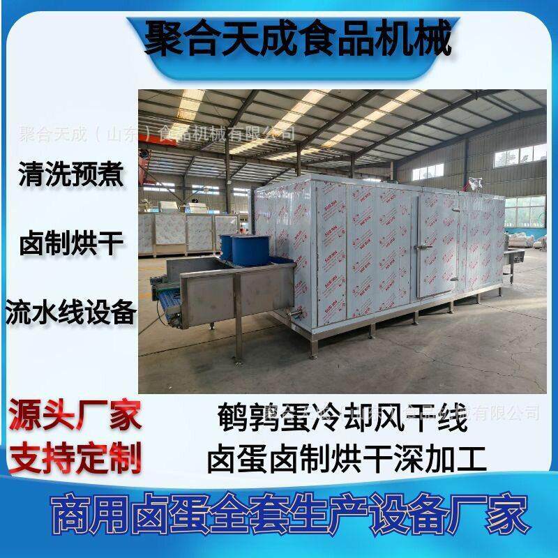大型连续式卤蛋烘干设备溏心蛋定心蒸煮流水线商用鹌鹑蛋烘烤线