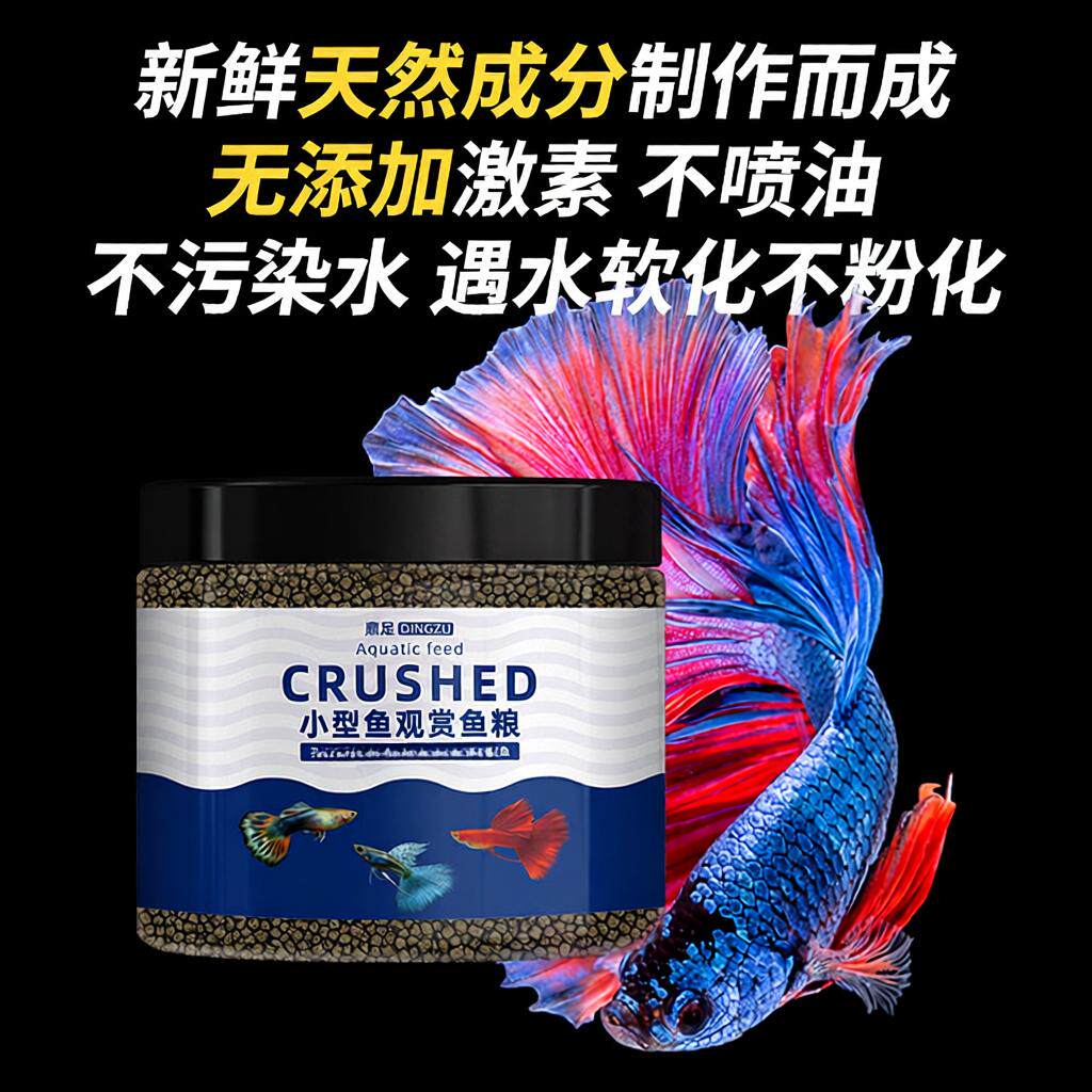 热带鱼观赏鱼孔雀斗鱼观赏鱼饲料