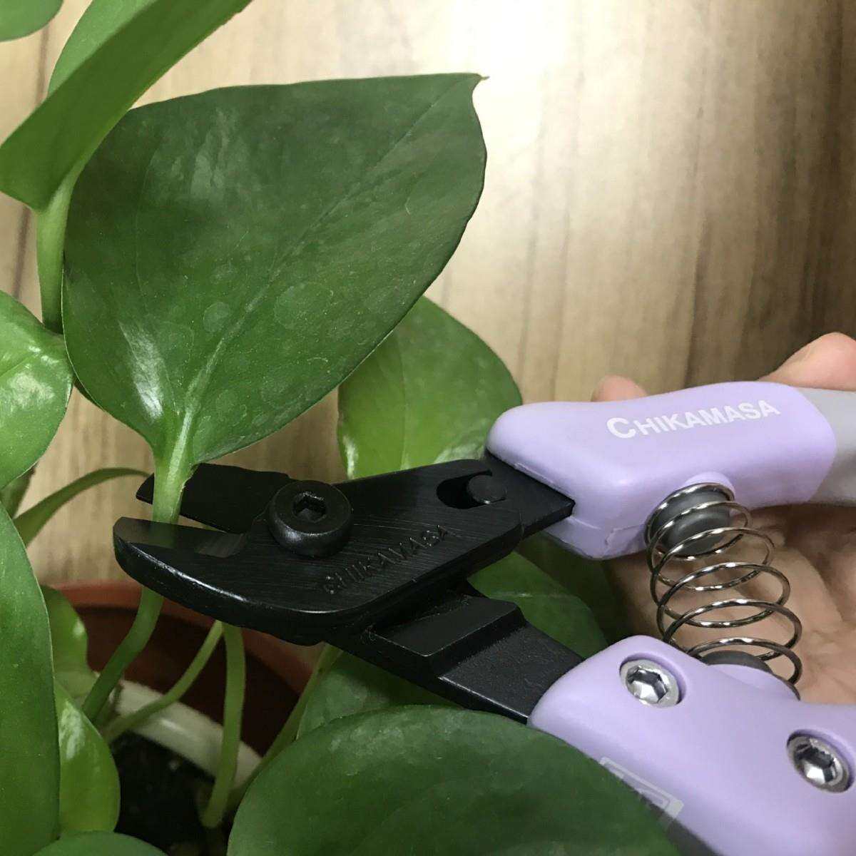近正大嘴鸟chikamasa假花塑料剪花剪花艺剪AC-5V浅紫色花艺剪