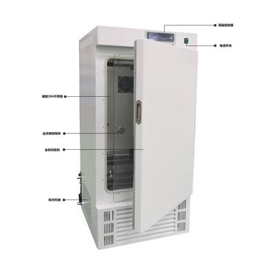 智能恒温生化培养箱SPX-150微电脑控制304不锈钢霉菌细菌恒温箱