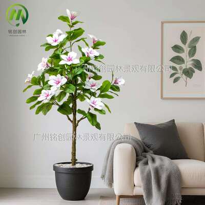 高级绿植仿真玉兰树盆栽室内假树客厅大型落地玉兰花树装饰摆件