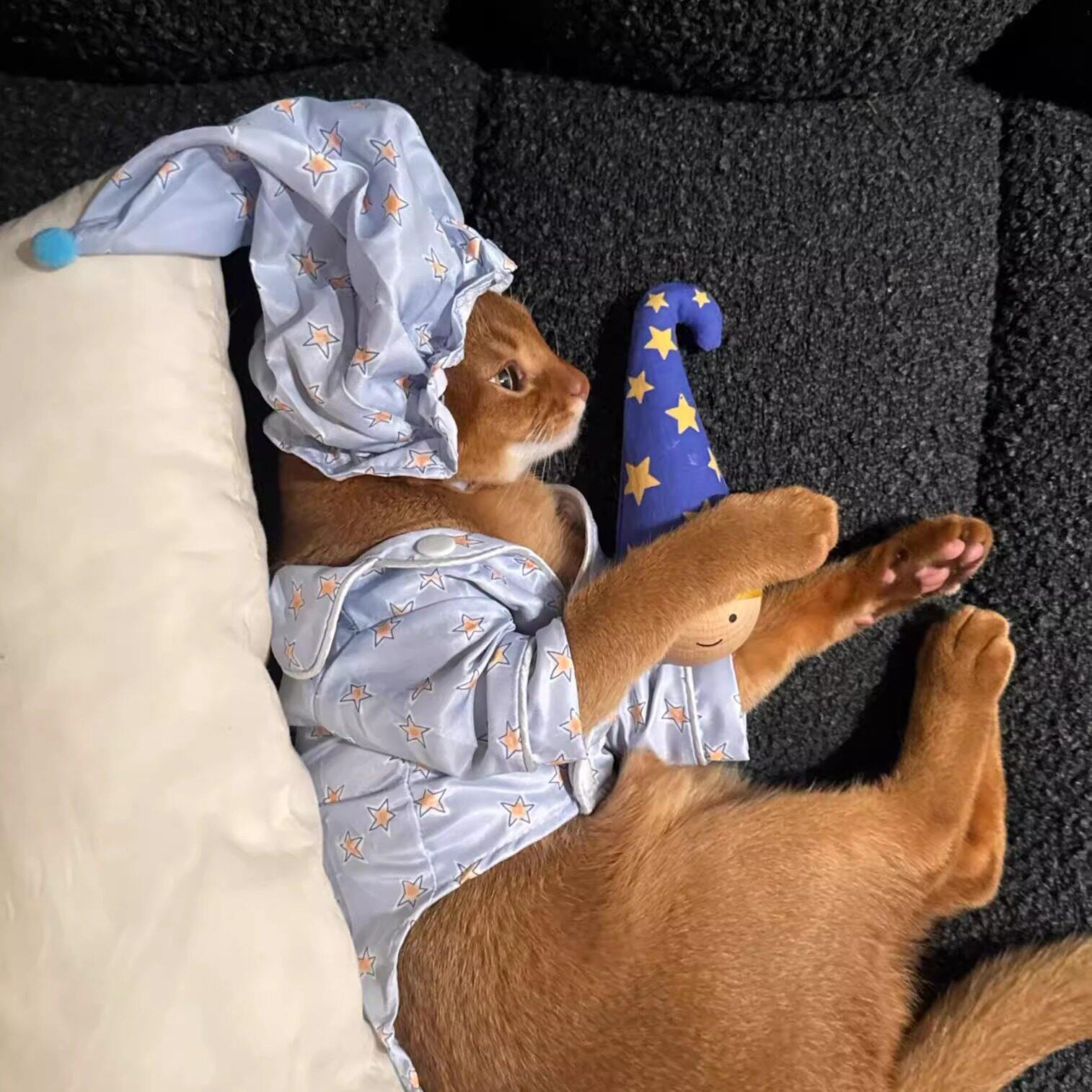 星星宠物睡衣猫衣服阿比西尼亚防掉毛薄款狗衣服小型犬睡衣小比熊