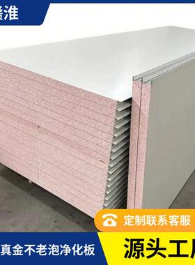 不老泡泡沫夹芯板隔墙吊顶无尘车间净化彩钢板钢构铝制合金铝材