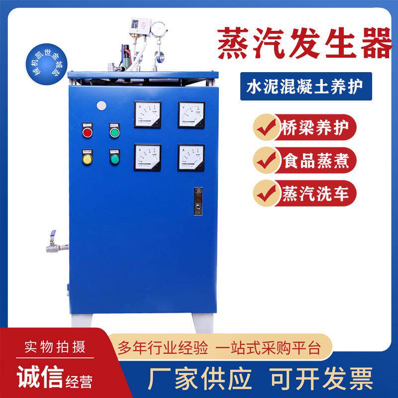 蒸汽发生器商用小型工业用蒸汽锅炉混凝土桥梁养护酿酒蒸煮电锅炉
