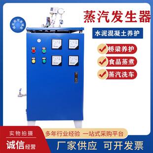 工业蒸汽发生器桥梁水泥养护食品蒸煮蒸汽锅炉服装熨烫蒸汽发生器