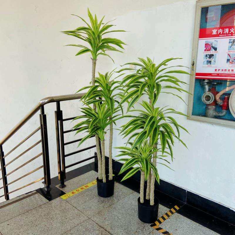 仿真香龙血树植物盆栽高品轻奢小树假树客厅装饰庭院造景摆件