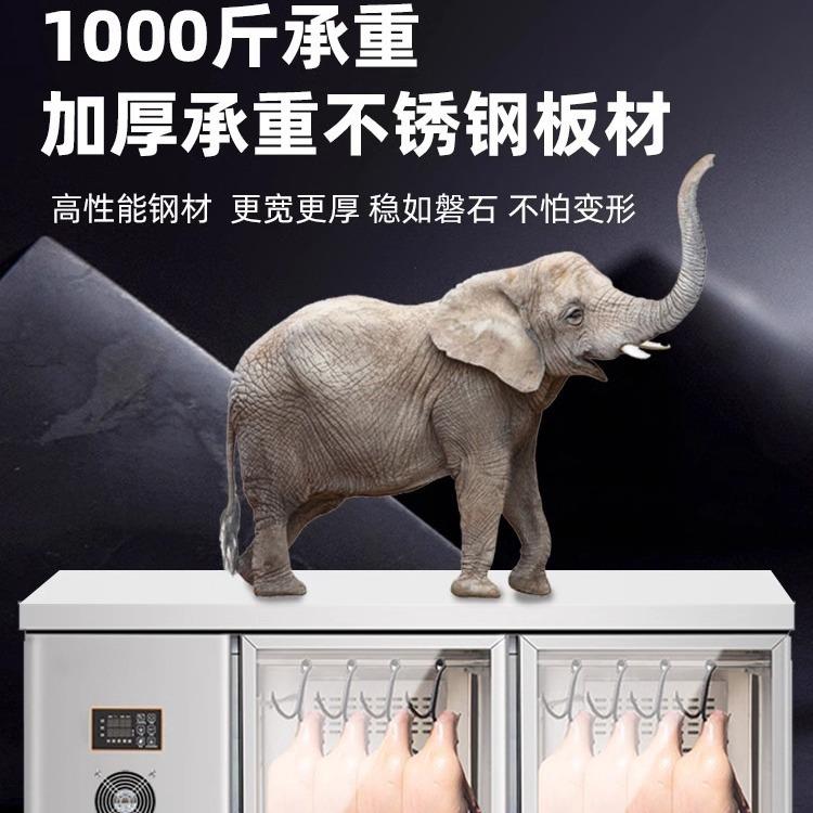 商用新款晾鸭柜烧鹅烧鸭胚吹风干展示柜除湿保鲜烤鸭风干晾胚柜