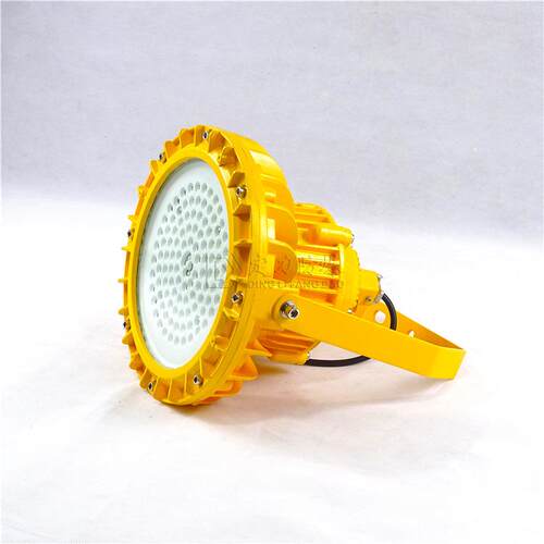 节能防爆防水防尘LED灯60W70W80W100W吊杆24V30度弯杆防爆壁灯