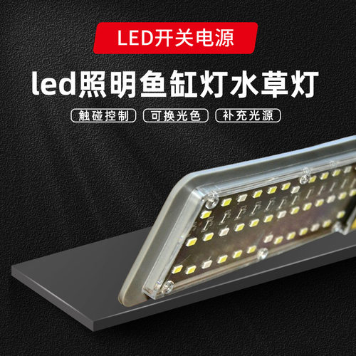 亚马逊LED热卖灯草观赏照明器材