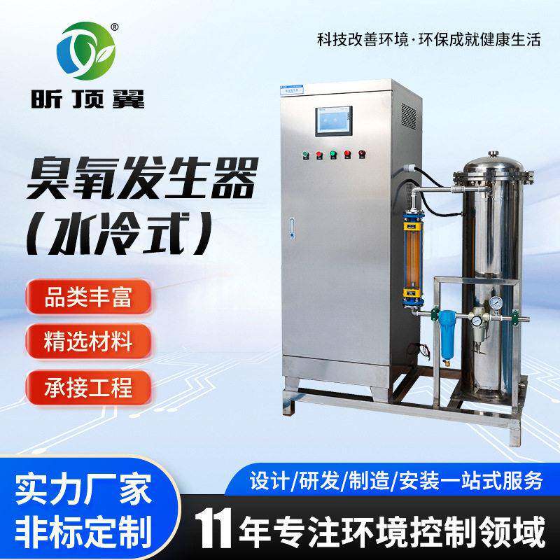 臭氧发生器(空气源水冷式)水管净化臭氧发生器原水杀菌脱色