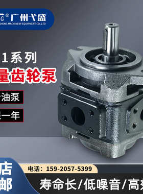 变量泵HG1-25-01R-VPC HG1-25/32/40/50-01R-VPC/VSC-G齿轮油泵