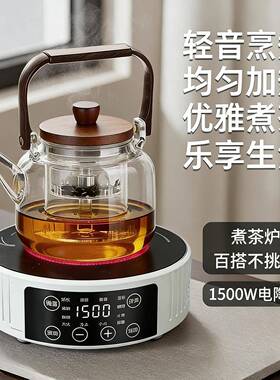 电陶炉煮茶小茶炉家用煮茶器2026新款烧水电热炉泡茶养生壶电磁炉