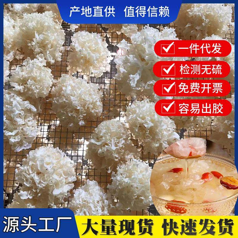 厂家直供古田仿椴木小银耳500g散装银耳干货白木耳雪耳丑糯耳,粮油调味/速食/干货/烘焙,银耳/冻干银耳及银耳制品,淘宝优惠券,粉丝福利购,淘宝优惠卷