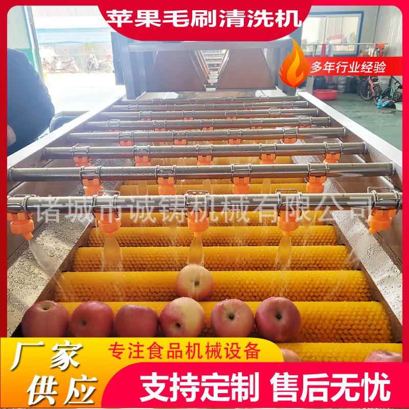 商用全自动水果毛刷清洗机油桃清洗风干一体机苹果毛辊清洗风干线