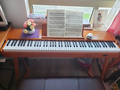 权威发布罗萨电钢琴怎么样?千万不要被忽悠了