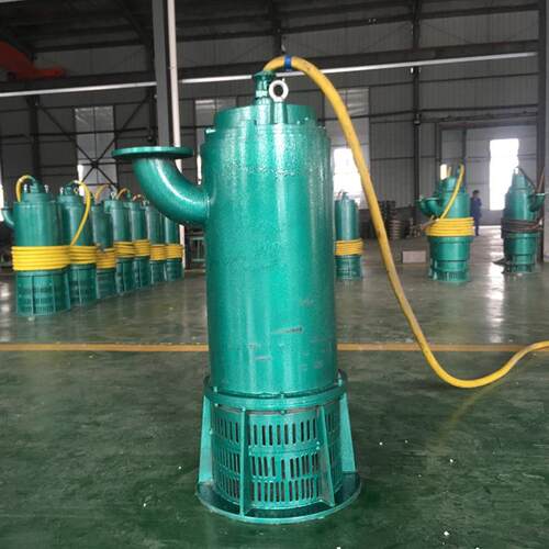 型号全 BQS200-60-55/B矿用隔爆型潜水排沙电泵 矿用潜水排沙电泵
