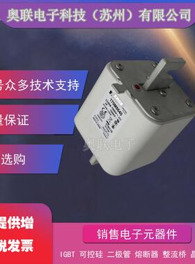 巴斯曼熔断器170M8500/8501/8502/8503/8504/8505/8506电容保险丝