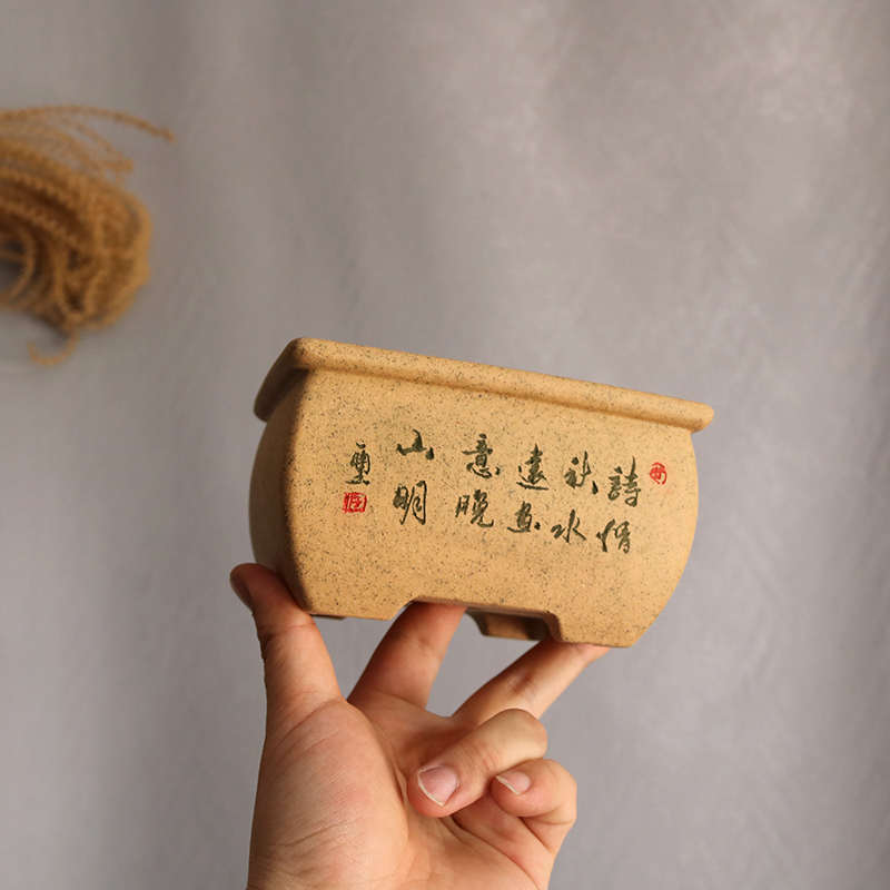 宜兴紫砂花盆手工刻绘长方形小马槽文竹多肉菖蒲造景小号绿植盆