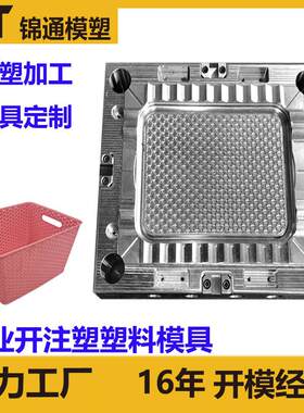 储物篮收纳筐模具藤条花样篮注塑塑料产品厂家开发生产单腔注塑机