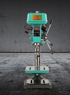 江晖Z4120台钻 台式钻床 家用多功能电钻 750W 20台钻小型铣床
