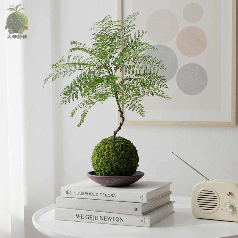 蓝色的花楹苔藓球造型盆景室内客厅阳台绿植盆栽植物桌面办公室花
