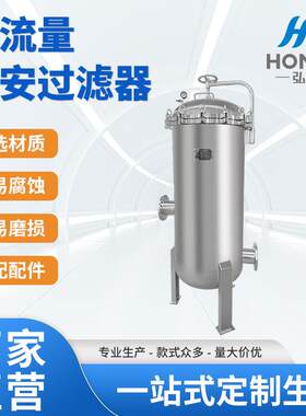 定制大流量滤芯保安过滤器RO清洗过滤器EDI过滤器厂家