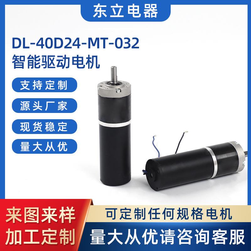 DL-40D24MT-032车位锁驱动电机微型直流齿轮箱减速电机
