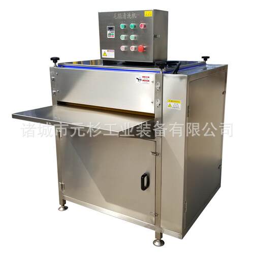 全自动粽叶毛辊清洗机薄荷叶芦苇叶清洗机粽子加工流水线设备