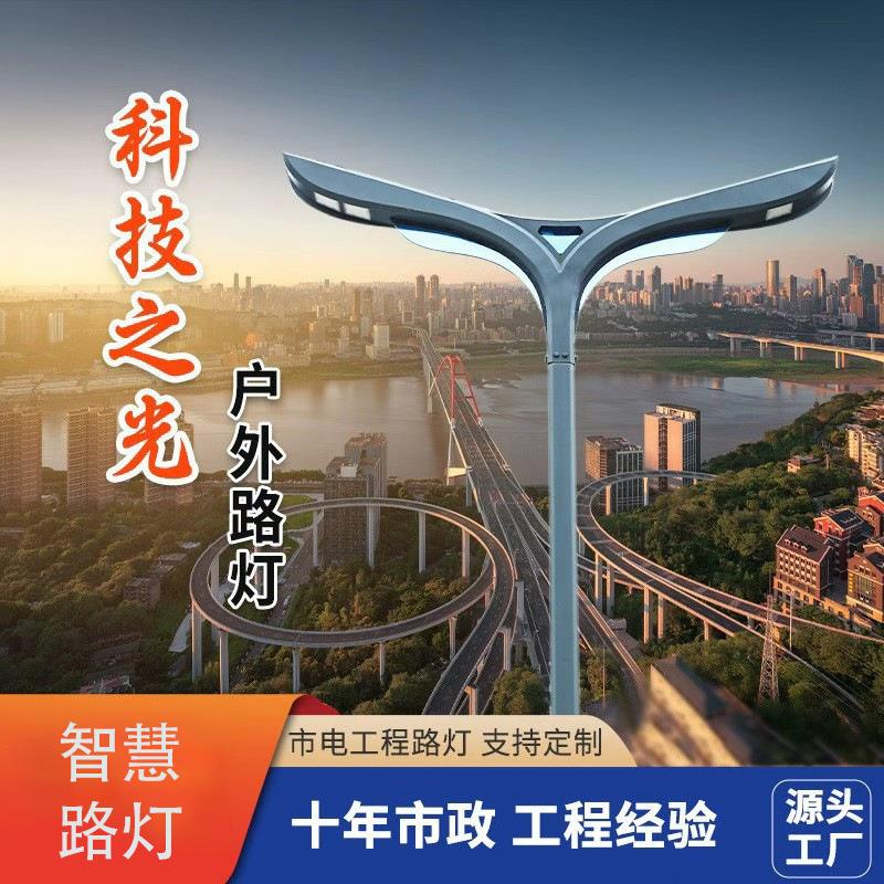 路灯庭院灯造型公园景观工程智能防护超亮现代户外灯杆智慧防水