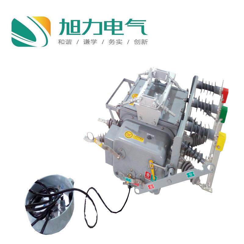 ZW20C真空断路器ZW20-12F/630高压真空开关电动PT看门狗电缆出线