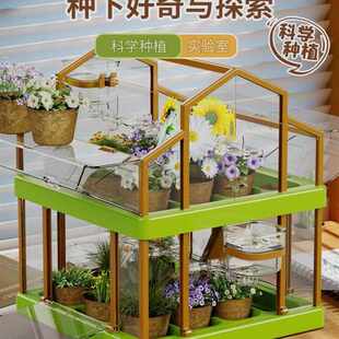 清货儿童植物种植观察小盆栽室内水培太阳花草莓蔬菜diy植树节玩