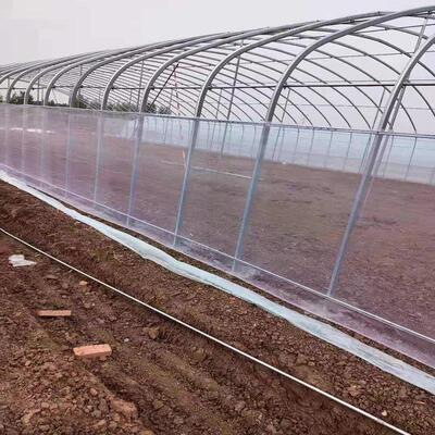 防虫网大棚专用蔬菜大棚60目加厚抗老化防柳絮杨花院子纱窗纱网