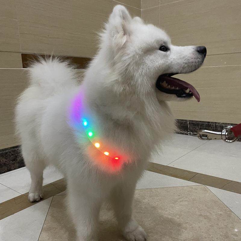 跨境大型犬宠物项圈围脖狗绳充电安全脖圈带裁剪发光可调节狗项圈