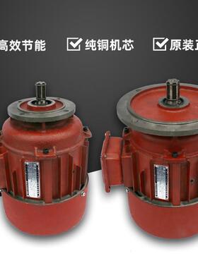 DY21-4-0.8/1.5/20.2W锥形三相Z异步电K机38V行车RIA电葫芦运行电