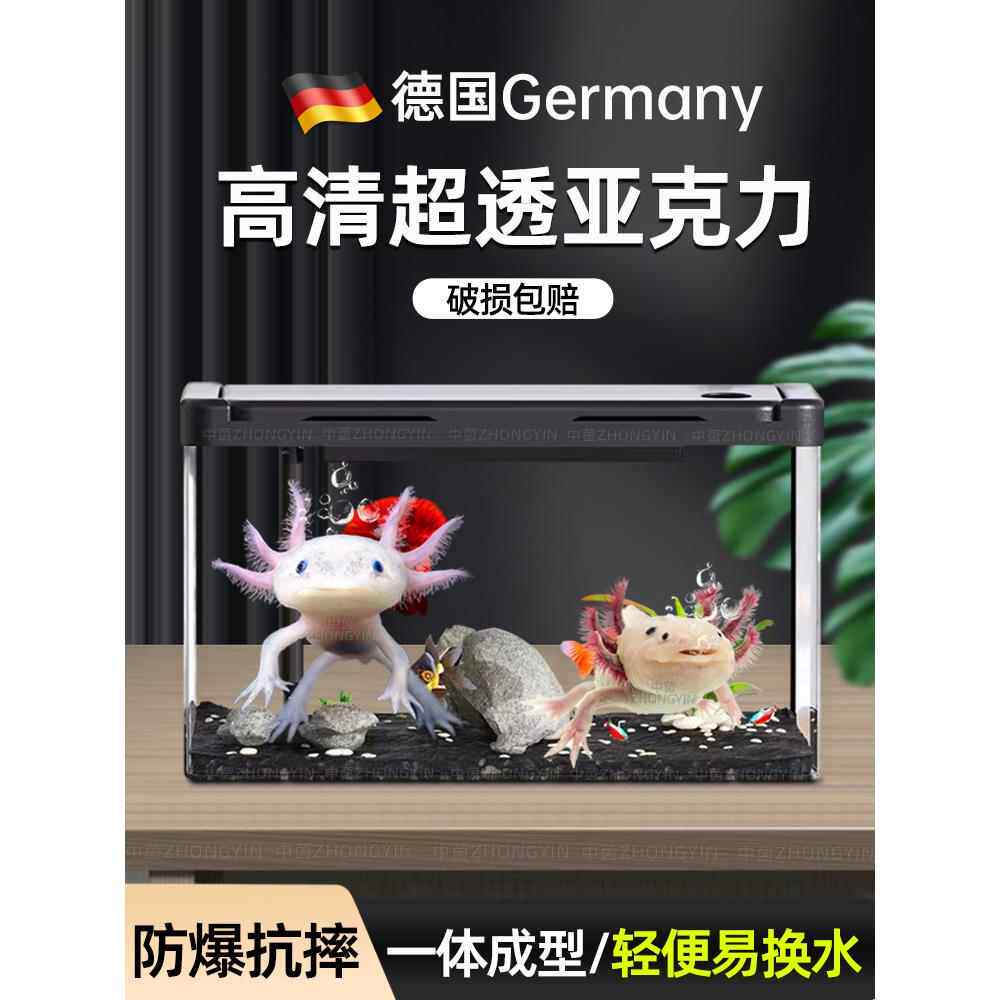 德国亚克力六角恐龙鱼专用鱼缸客厅小型塑料蝾螈饲养缸生态造景盒