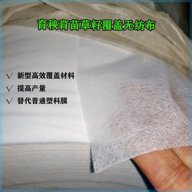 农用水稻育秧无纺布育苗披发整卷透气膜盖草籽蔬菜苗保温保湿防虫