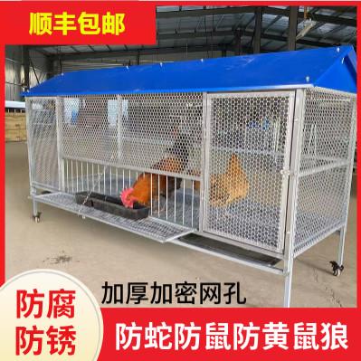 尖顶鸡笼室外防黄鼠狼饲养笼铁丝网鸽子鸭兔不锈钢芦丁鸡密养殖笼