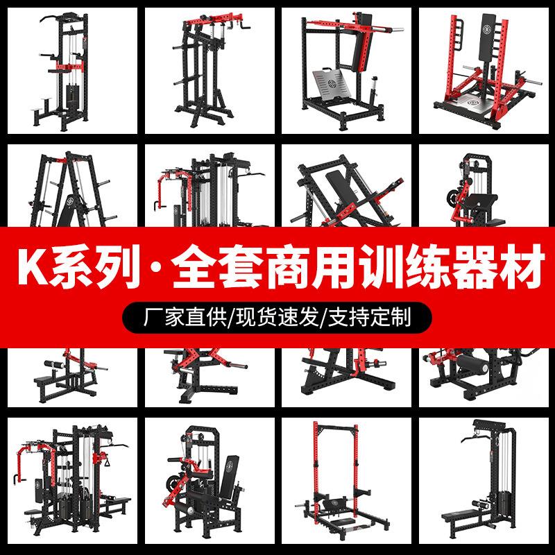 雷格斯商用健身器材多功能综合训练器飞鸟龙门架运动器械健身器材