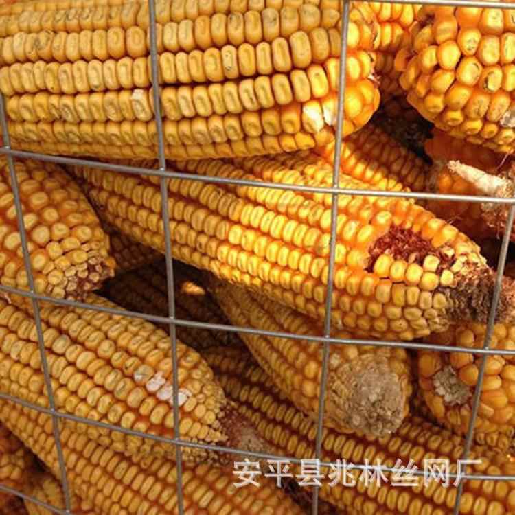 河北厂家现货销售圈玉米网6*9网孔粮仓网镀锌铁丝网价格优惠