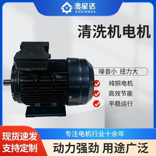 高压清洗机电机YE3 4W电机交流电动机 0.55W