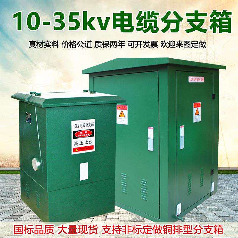 10kv35KV高压电缆分支箱欧式DFW12一进二三四出分接T对转接箱