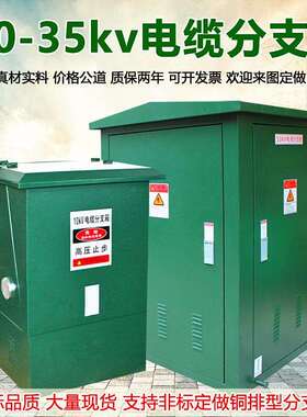 10kv35KV高压电缆分支箱欧式DFW12一进二三四出分接T对转接箱