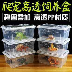 蜗牛饲养盒爬虫宠物活物爬宠箱寄居蟹蜘蛛蝎子角蛙蜥蜴昆虫人渣盒